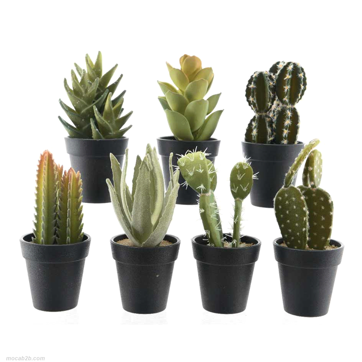 piantina verde assortite 1 pezzo h18 cm oppure 28cm. 