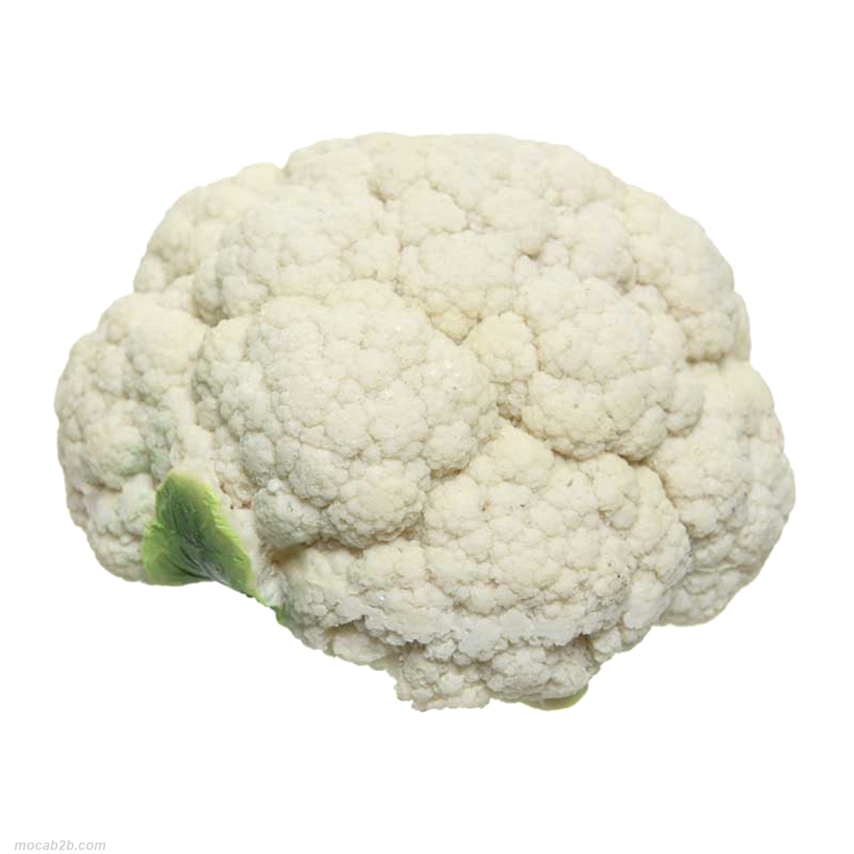 CAVOLFIORE POLIESTER 13x14x9 