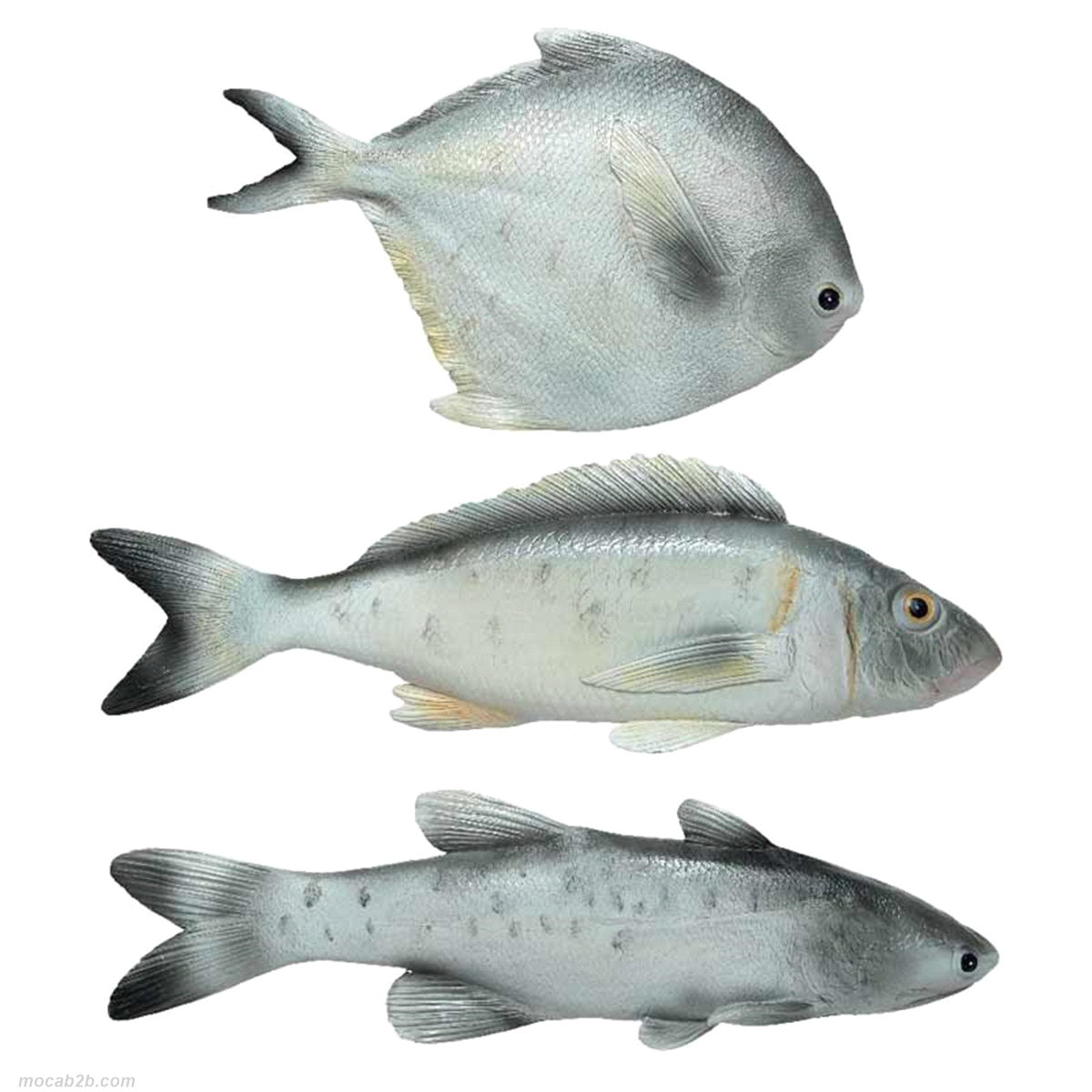 PESCI GRIGI 20x21/9x27/7x24 x3pz 