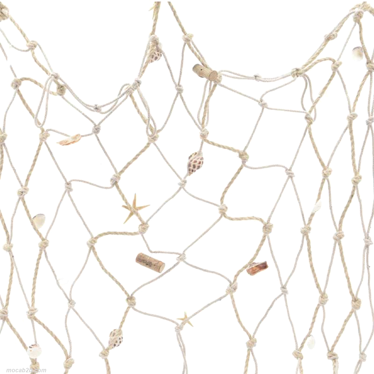 RETE NATURALE C/CONCHIGLIE 100x4x150 