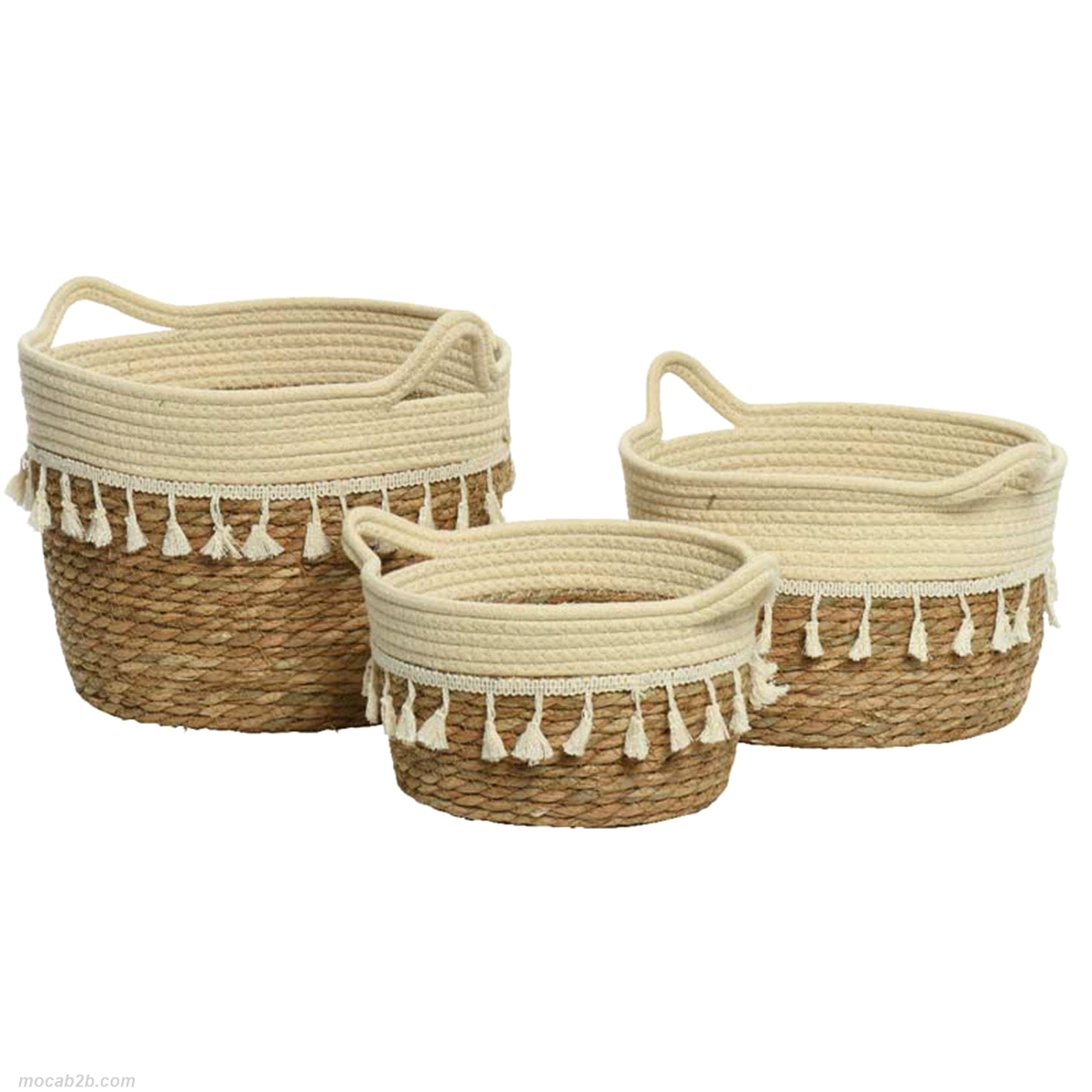 Set 3 cesti d