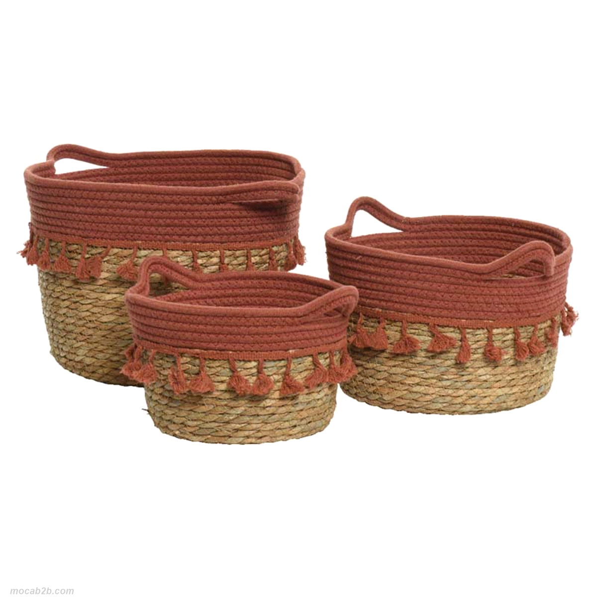 Set 3 cesti d