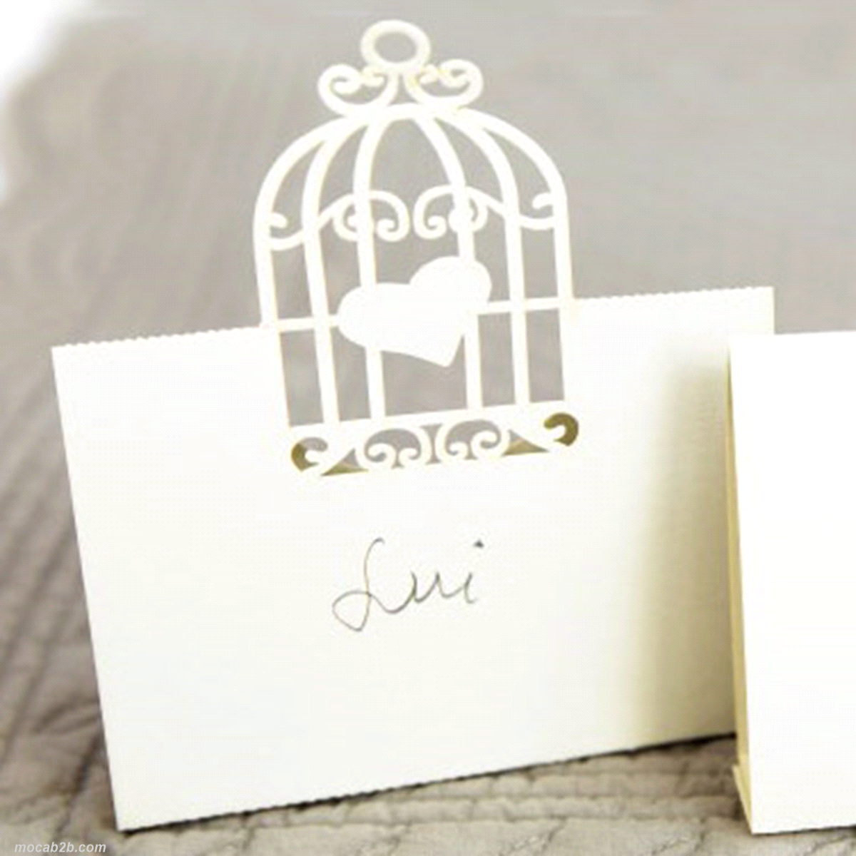 BIGLIETTINO CARTONE GABBIETTA10x11,5 