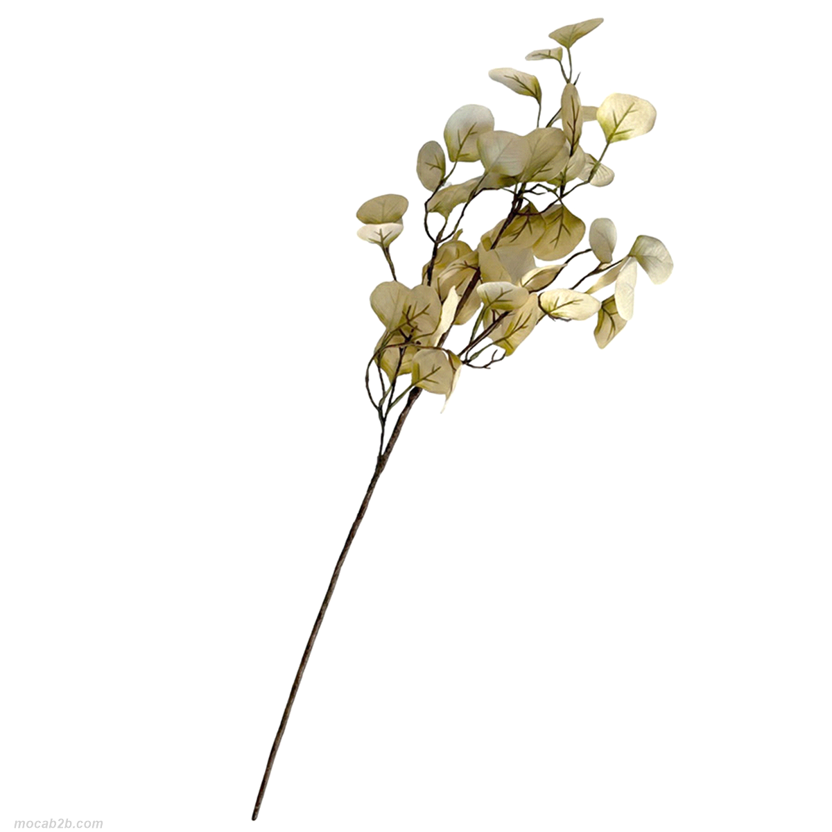 RAMO EUCALYPTUS BEIGE h.73cm 