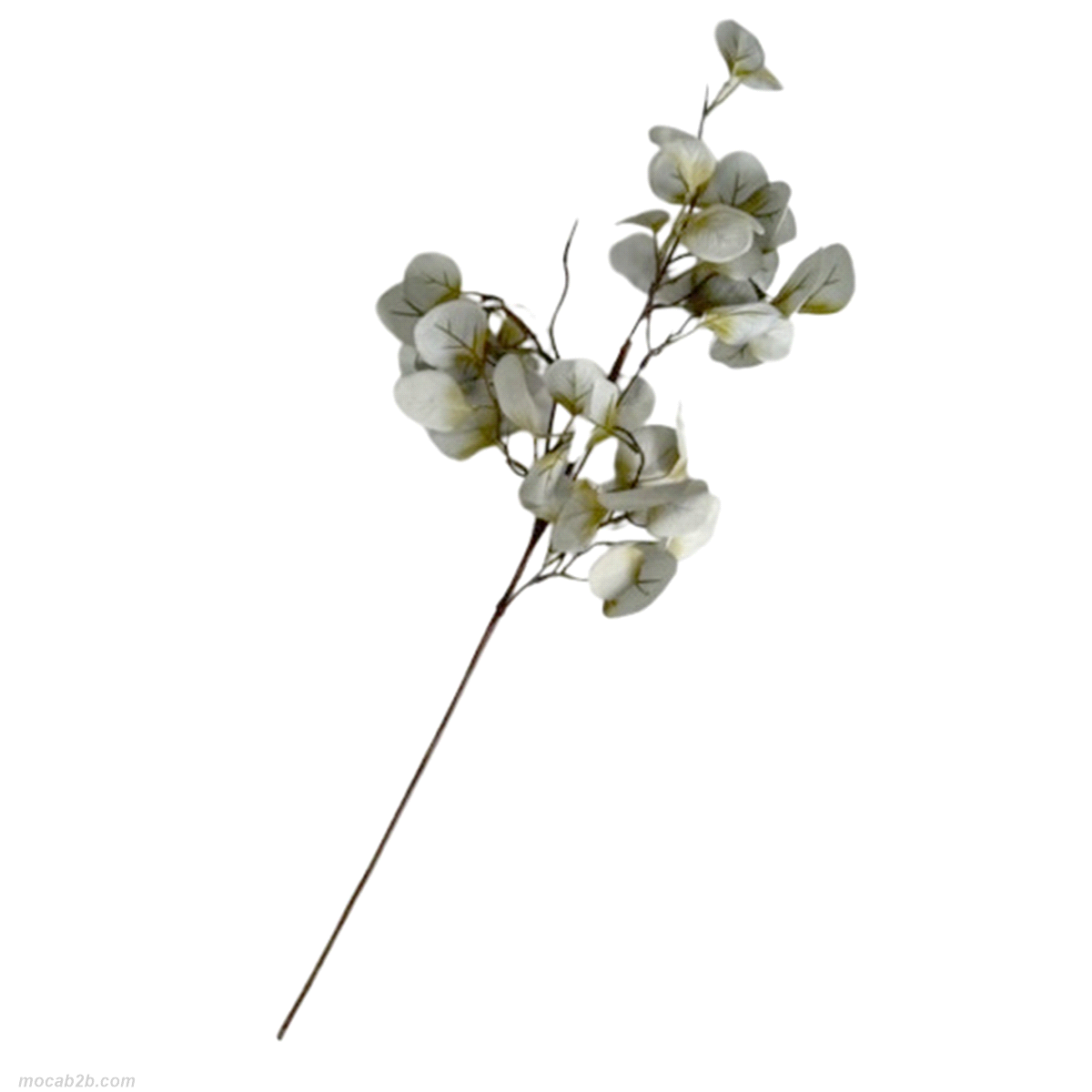 RAMO EUCALYPTUS POLVERE  h.73cm 