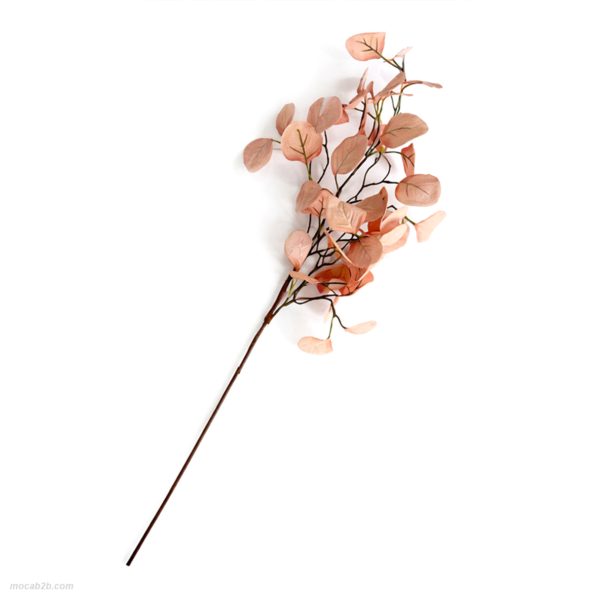 RAMO EUCALYPTUS ROSA CIPRIA h.73cm 