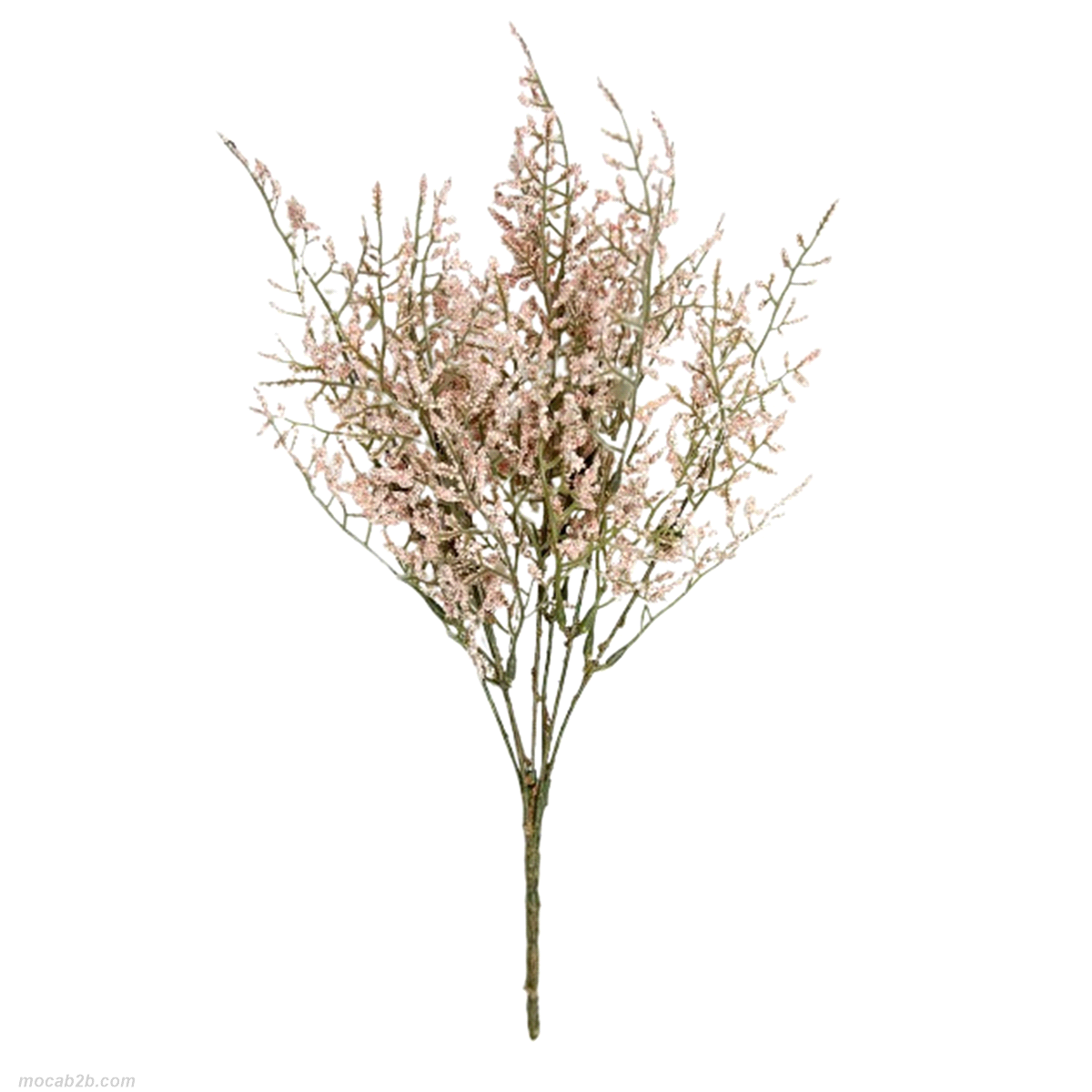 GIPSOPHILA ROSA CIPRIA BUSH 