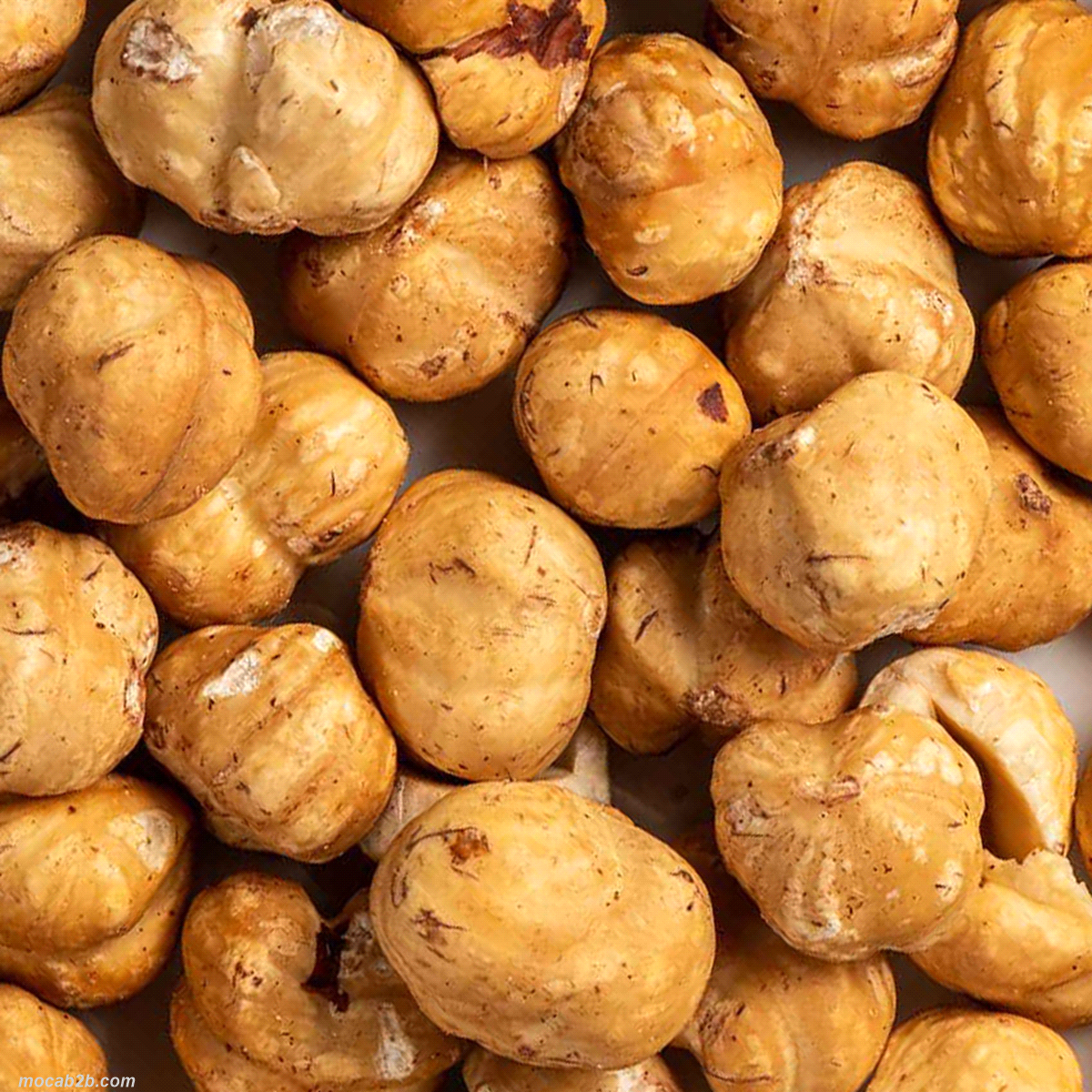 Nocciole tostate, calibrate e scelte 