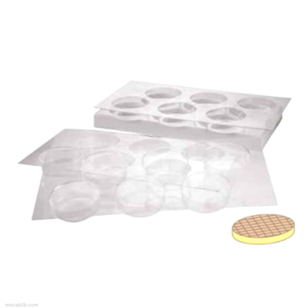 Stampo per biscotti gelato tondi cookie diametro 83 mm 