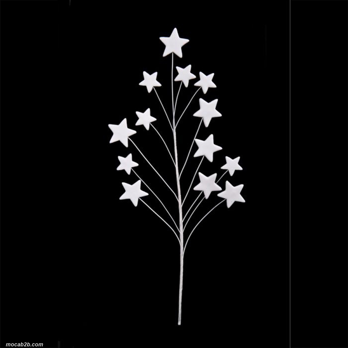 Bouquet stelline bianche. 