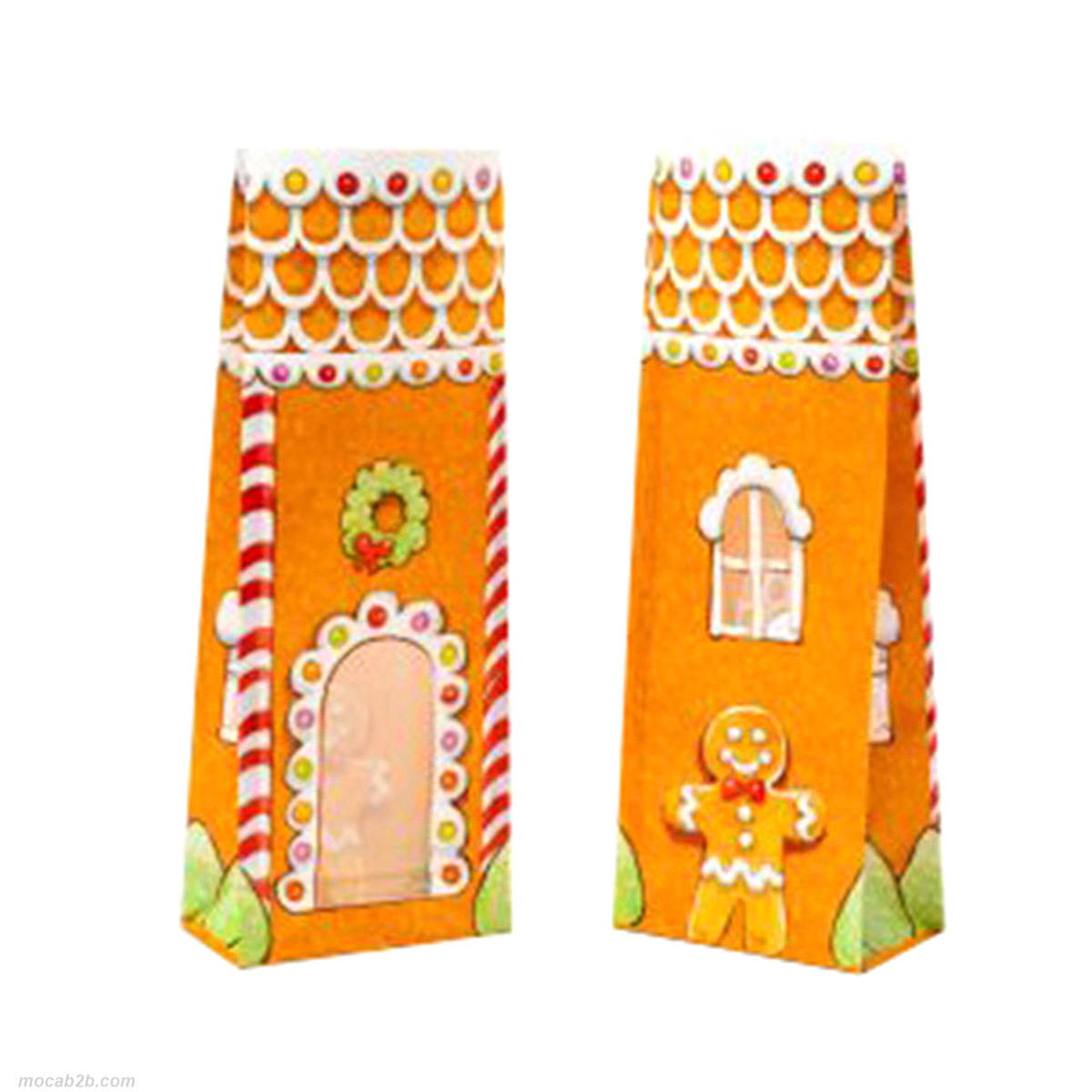 SACCH.PAN DI ZENZERO 100+60x280x50pz 