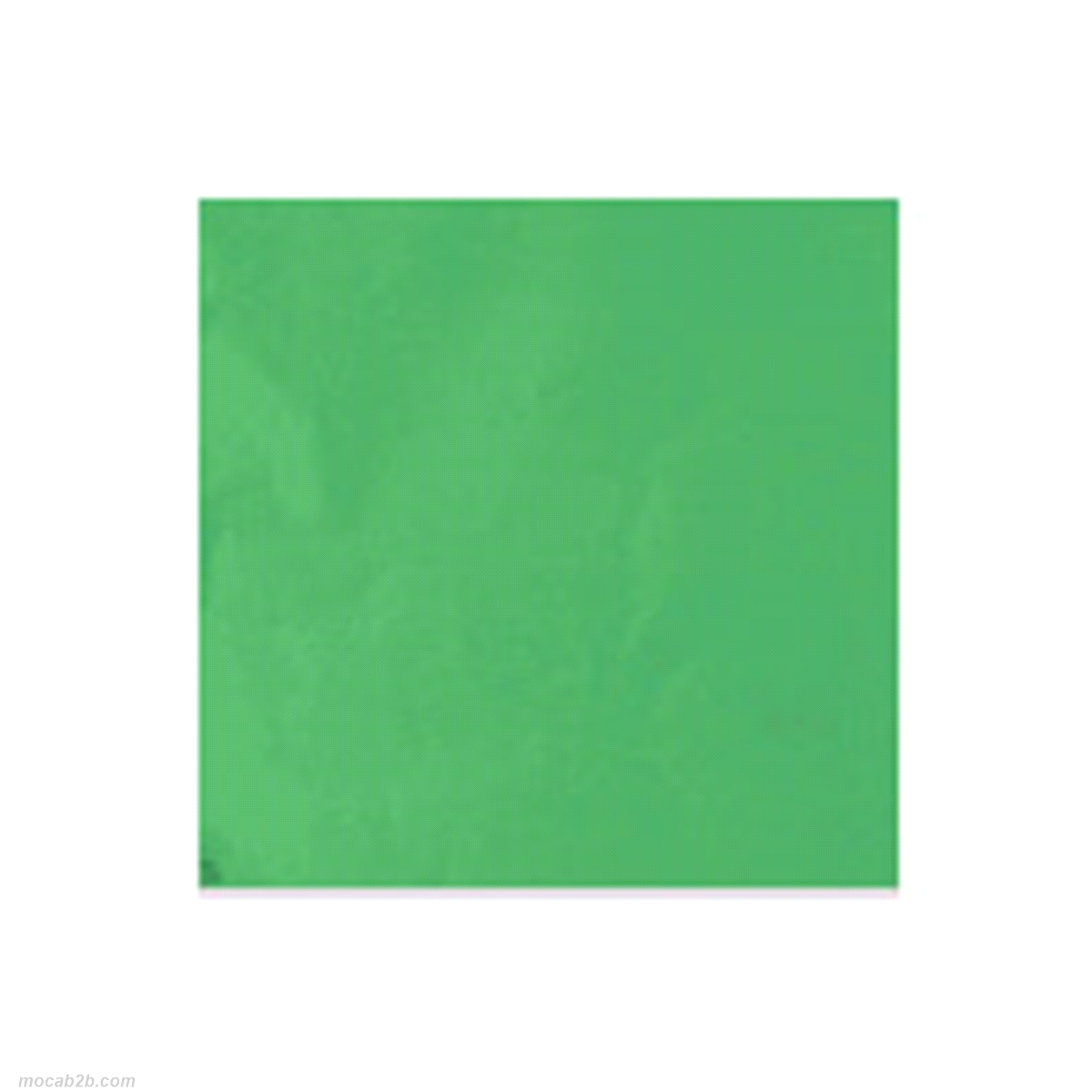 STAGNOLA GOFFR.VERDE PRATO h40x35mt 