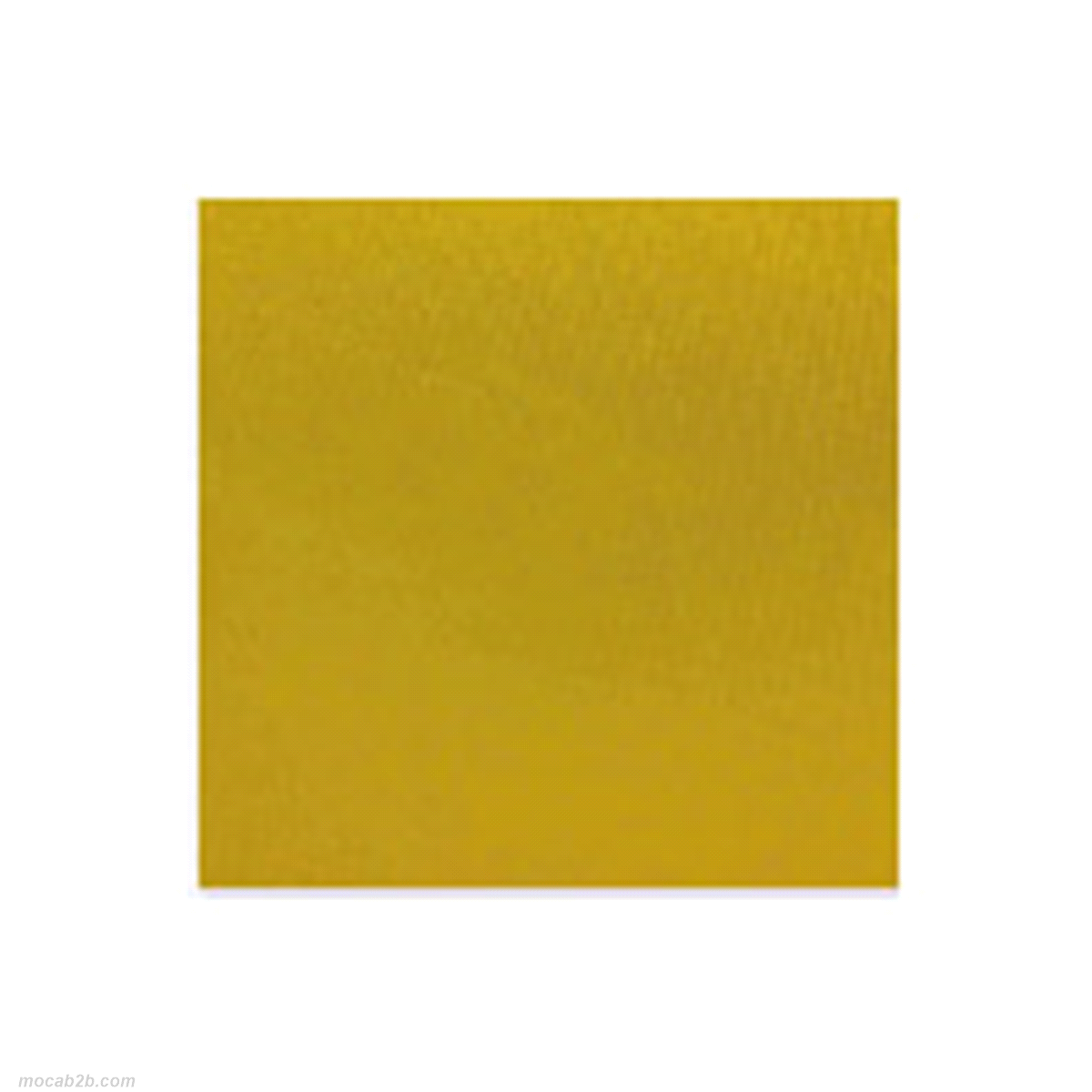 STAGNOLA GOFFR.BECCO D OCA h40x35mt 