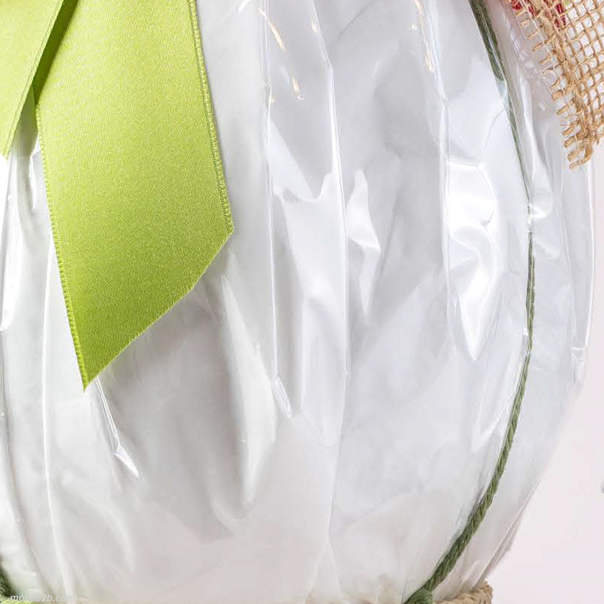 BOBINA VELINA BIANCA+TRASP.1x50mt 