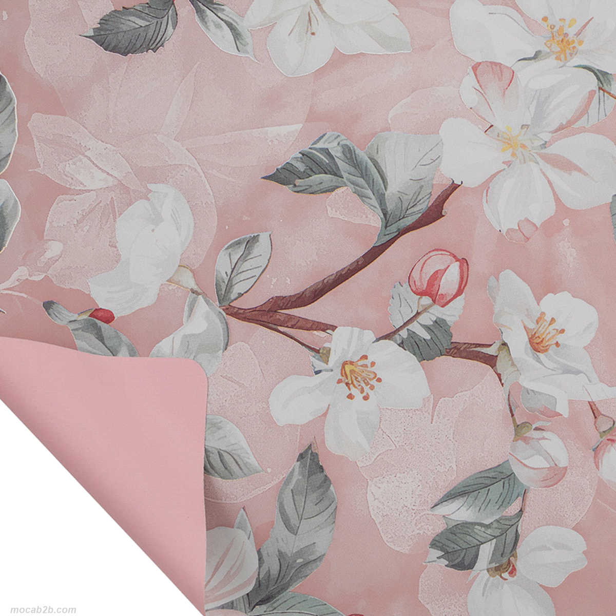 Fogli in polipropilene adatti al contatto diretto con gli alimenti. 