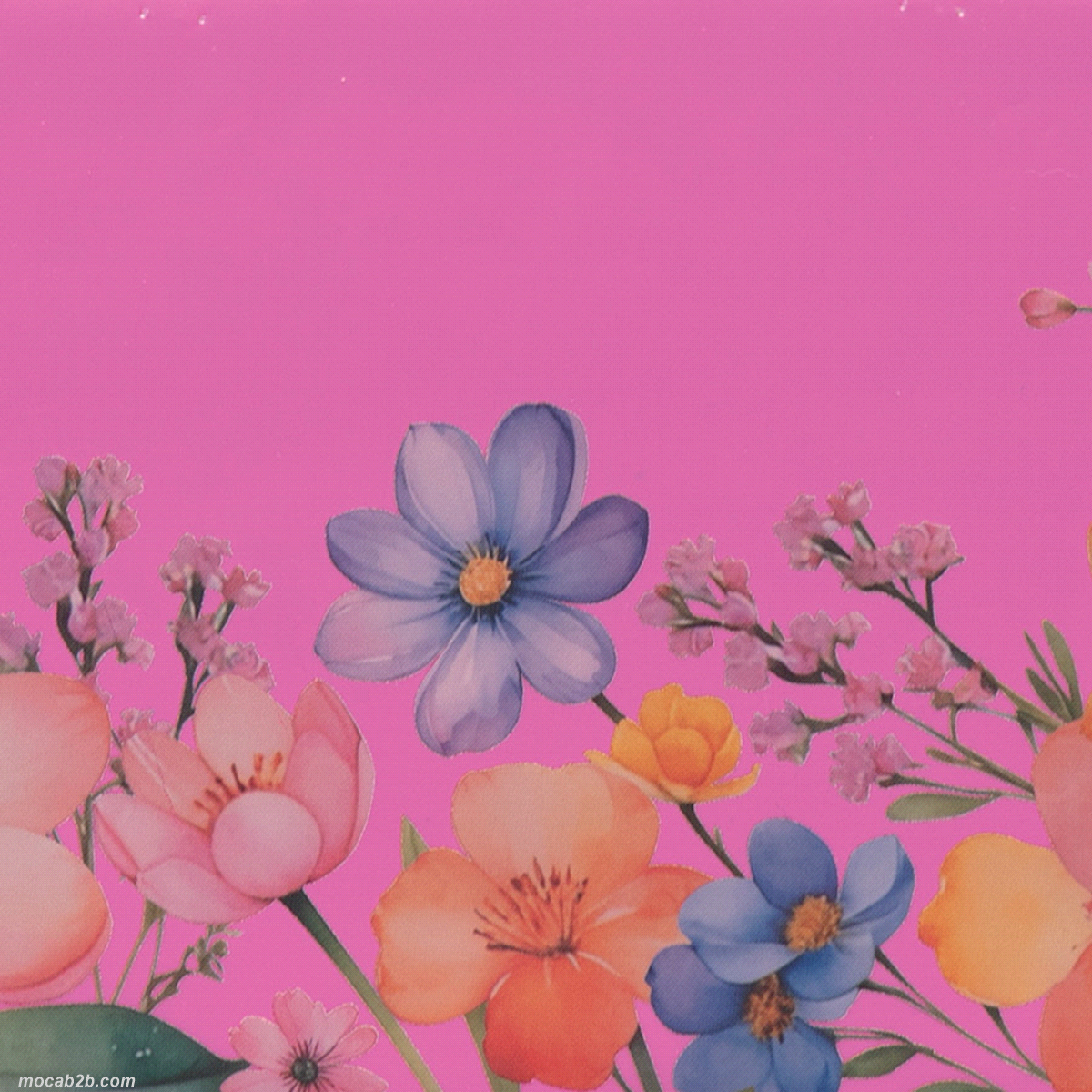 Buste certificate per il contatto con gli alimenti. 