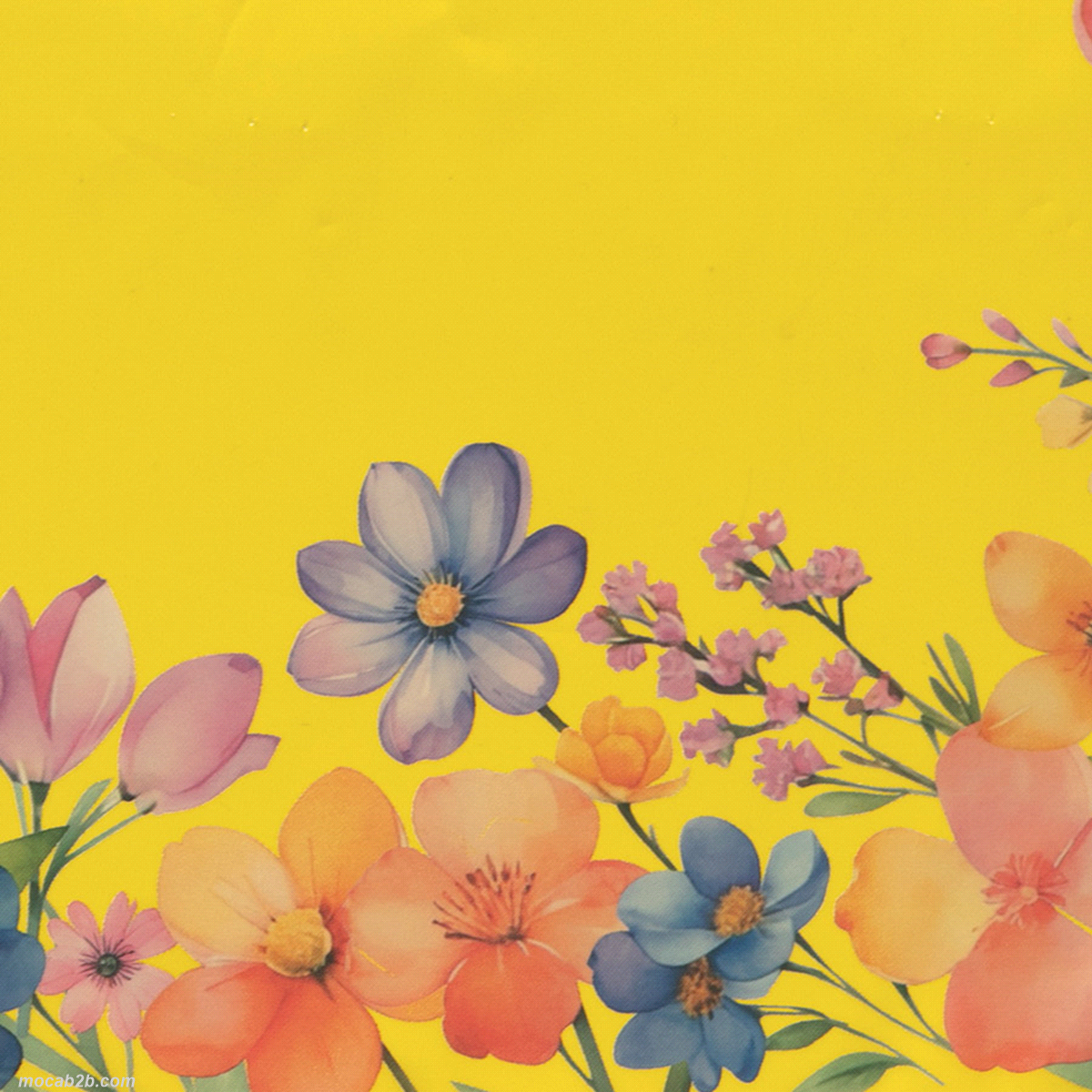 Buste certificate per il contatto con gli alimenti. 