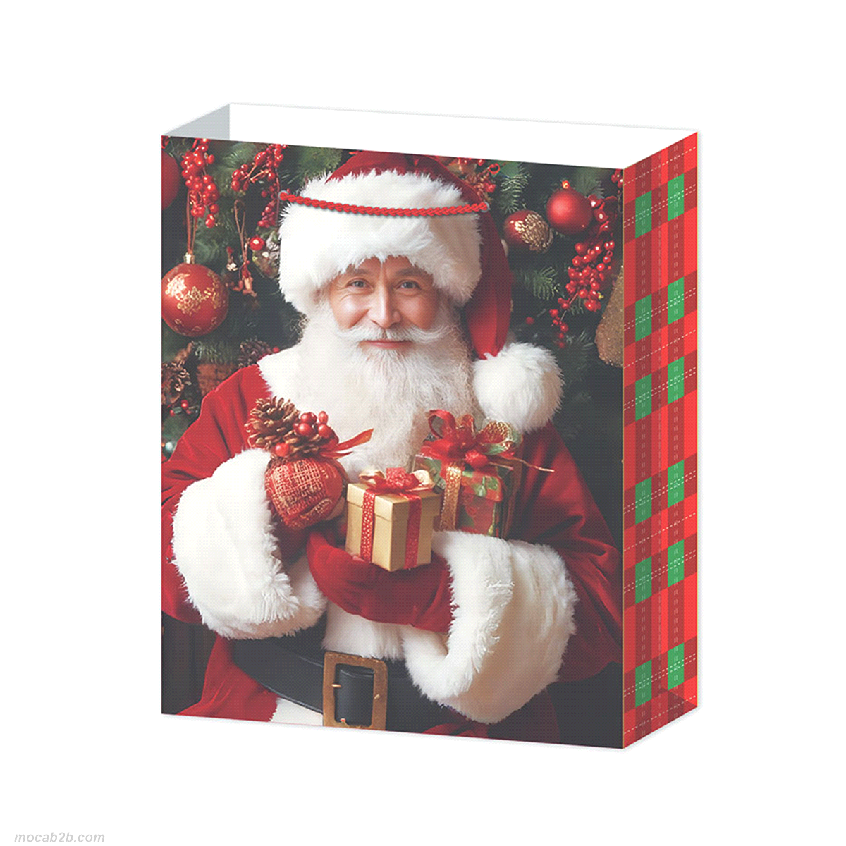 BORSA XMAS LINE (3) 18x10x22 x6pz 