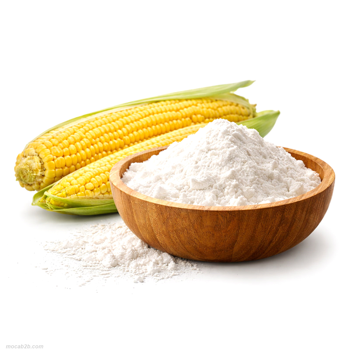 Maltodestrine in polvere 19DE 