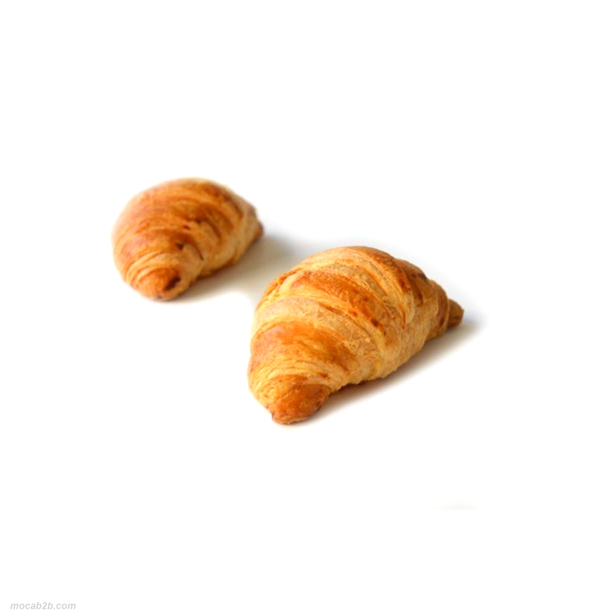 Un classico della viennoiserie francese con un tocco di sale per essere utilizzato anche a pranzo. Volume generoso, bella alveolatura. Ideale per essere farcito.
Peso: 60 gr.
Tempi di cottura: 18-20 min - 170°C
 