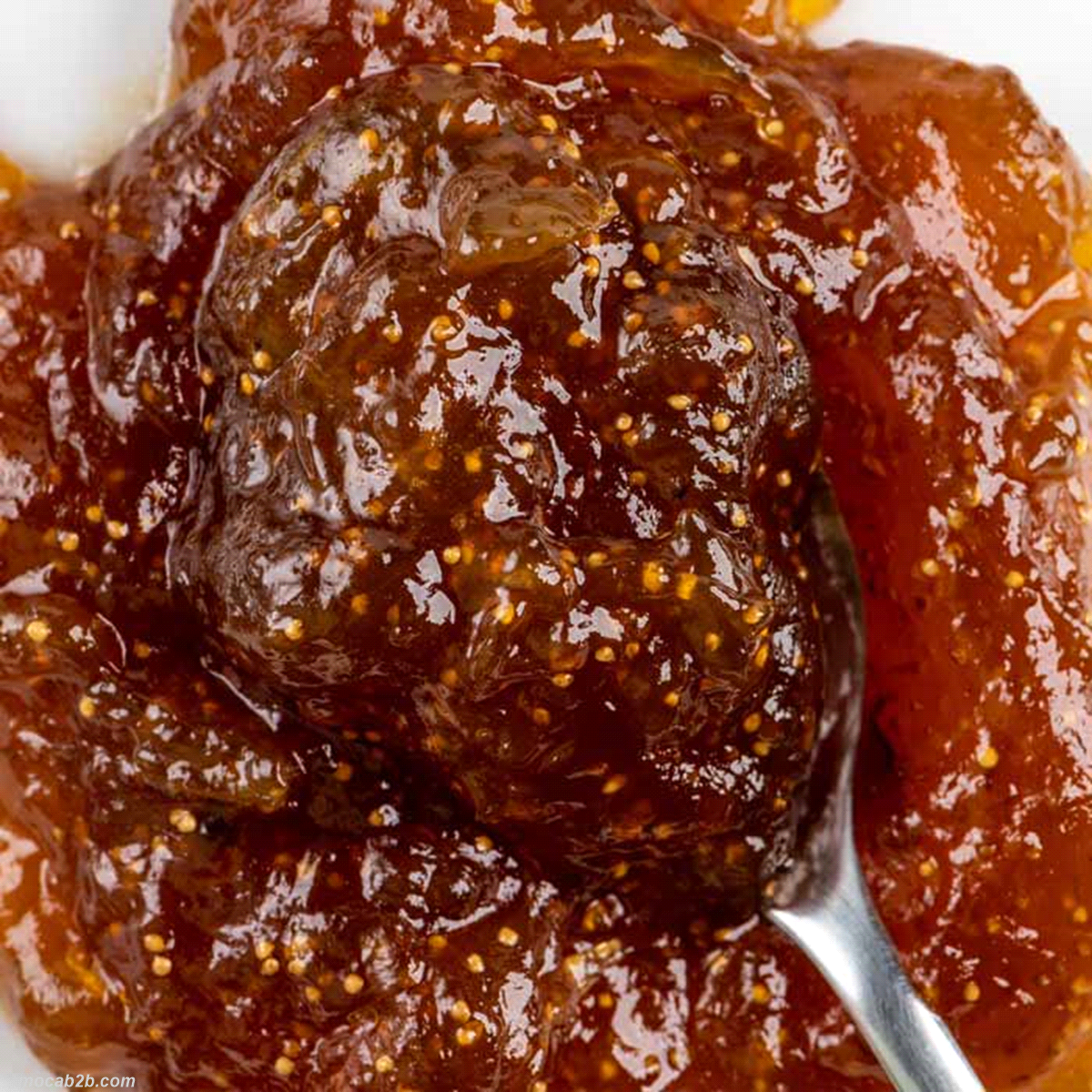 Confettura extra di fichi preparata con il 45% di frutta fresca italiana, dal colore rosso scuro brillante e sapore dolce e intenso. Ideale per farciture e cotture, si distingue per la sua consistenza pastosa e l’aspetto traslucido. Senza glutine, allergeni né OGM, è confezionata in pratico secchiello da 3 kg termosaldato. 