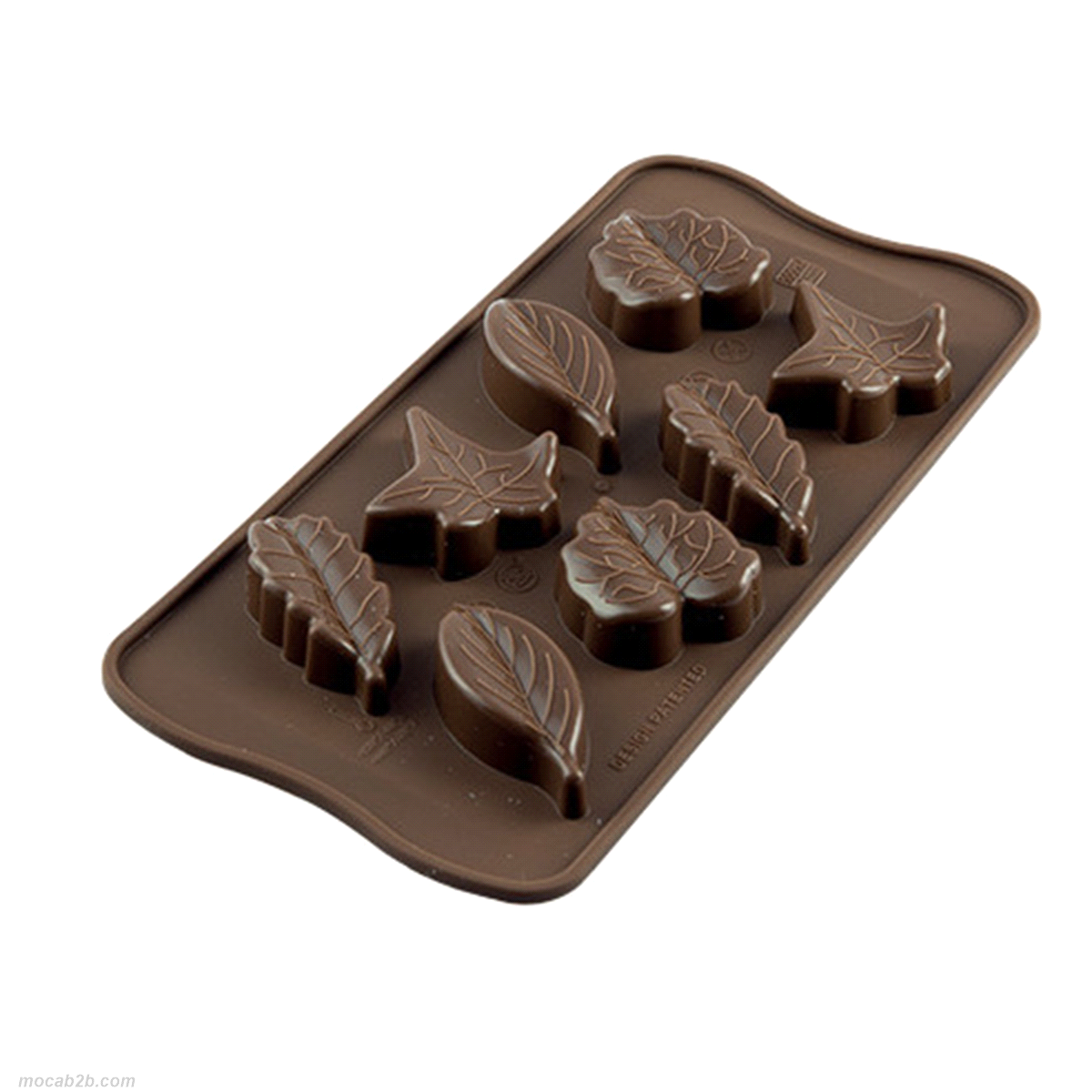 Quattro differenti forme di foglie in un