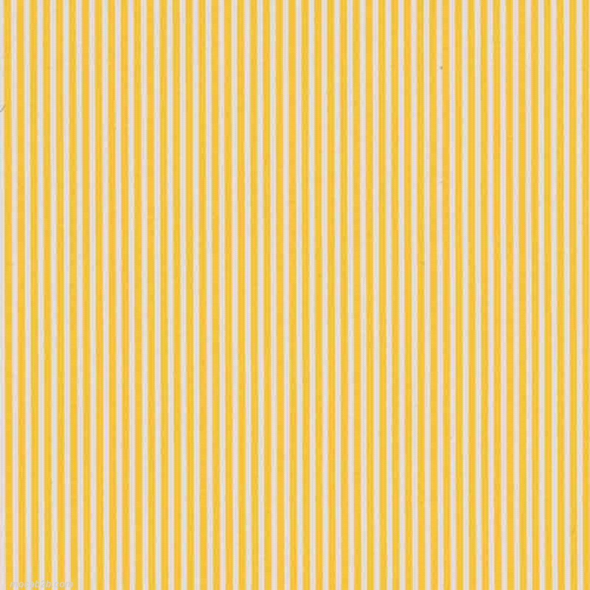 BOBINA RIGHETTO GIALLO 1x25mt 