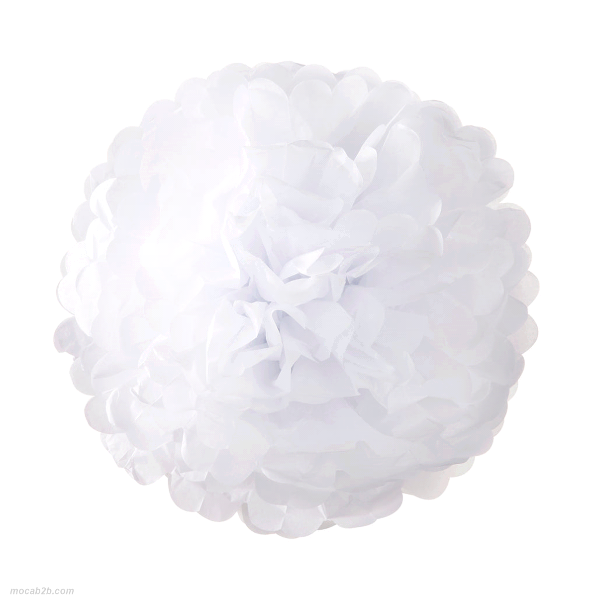 POM POM CARTA BIANCHI x3pz 