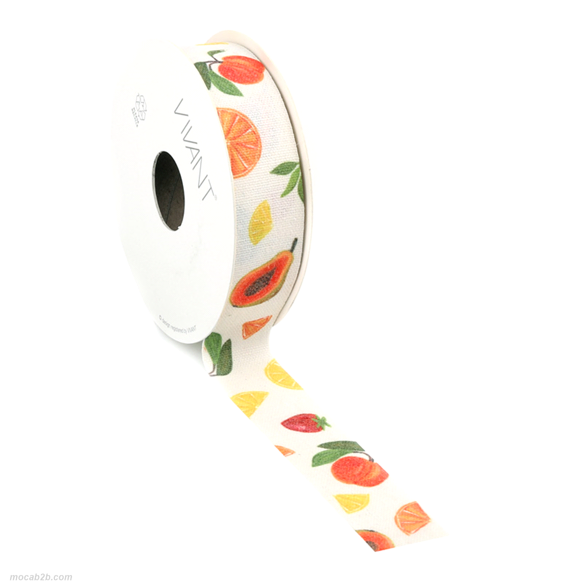FRUIT RIBBON MULTICOLOR 25mm x10mt 