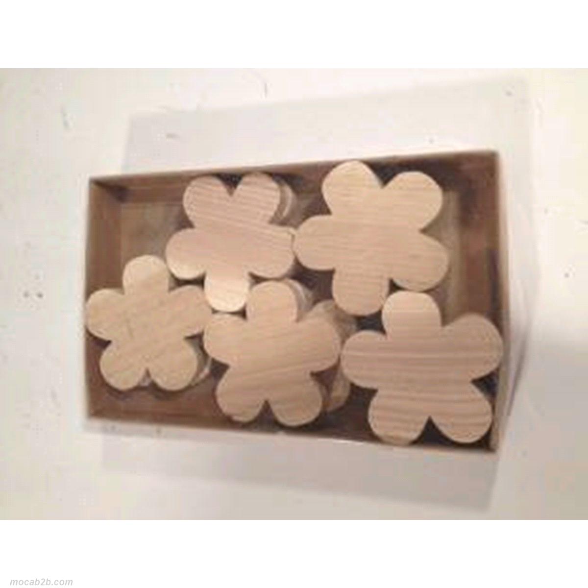 FIORI LEGNO NATURALI 6cm x10pz 